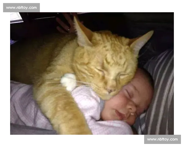 巴舒亚伊痛失爱猫 Kiyo：那个拼尽全力守护的小天使，终究离开了